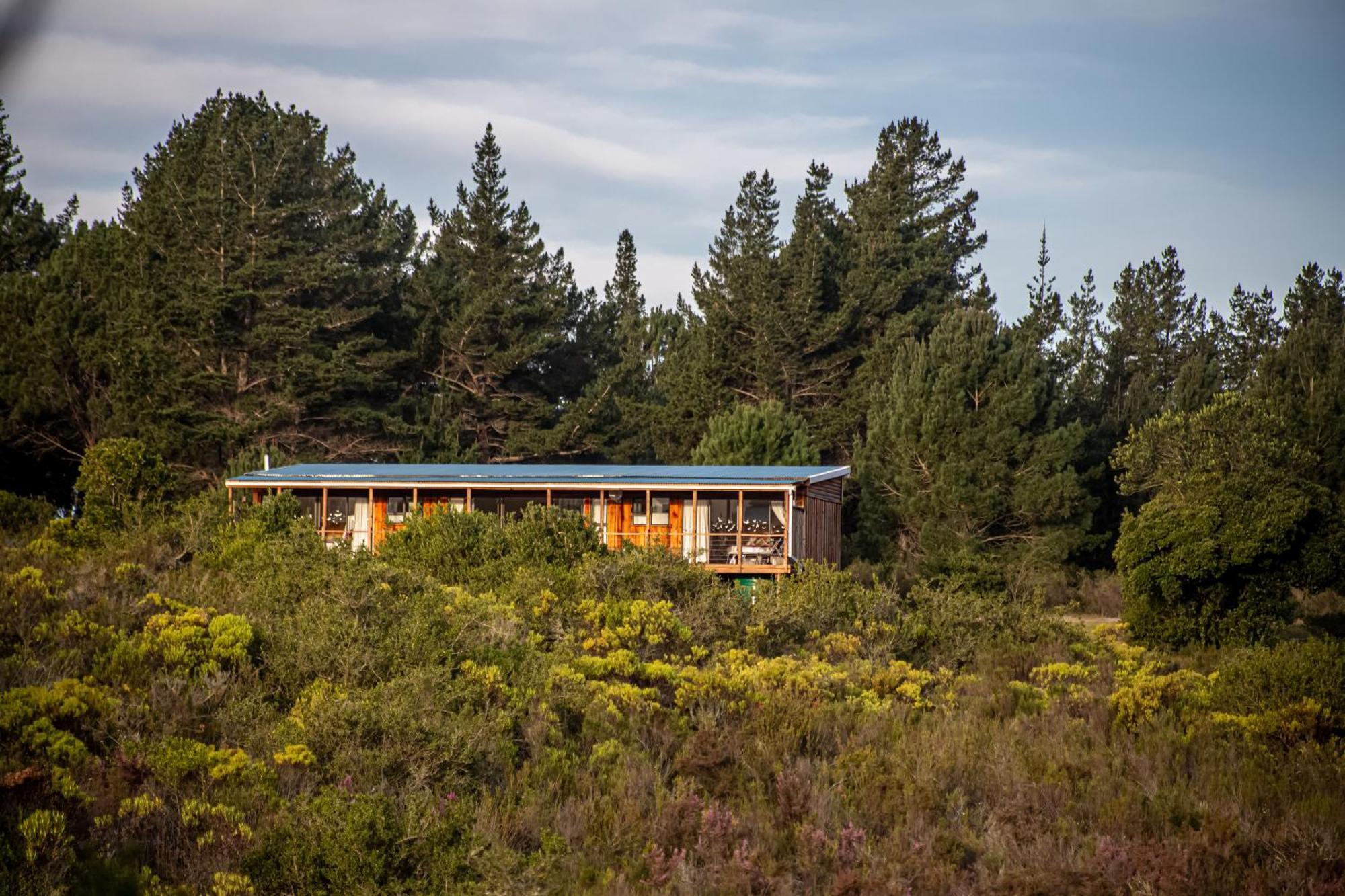 Equleni Guest Farm Hotel Sedgefield Exterior foto